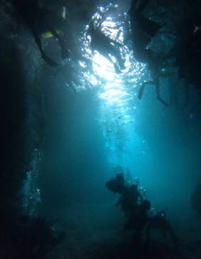 武藤潜水に投稿された画像（2025/4/28）