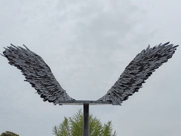 元離宮二条城に投稿された画像（2025/4/28）