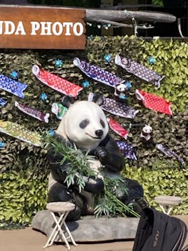 恩賜上野動物園に投稿された画像（2025/4/28）