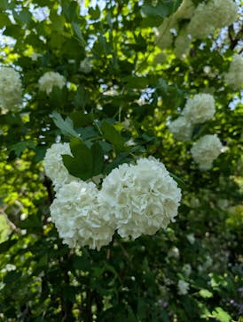 横浜イングリッシュガーデンに投稿された画像（2025/4/28）