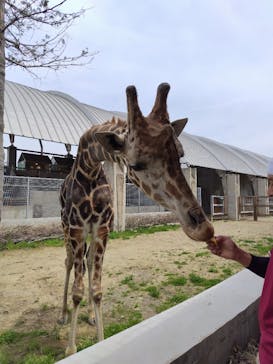 霞ケ浦 どうぶつとみんなのいえに投稿された画像（2025/4/28）