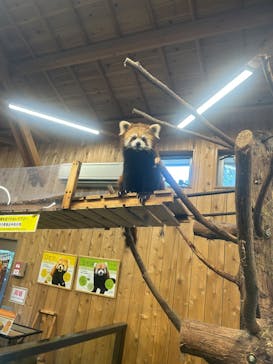 伊豆シャボテン動物公園に投稿された画像（2025/4/28）