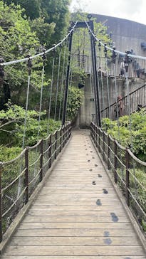 彫刻の森美術館に投稿された画像（2025/4/28）