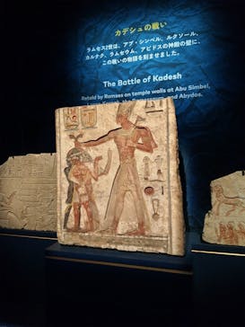 ACN ラムセス大王展 ファラオたちの黄金に投稿された画像（2025/4/28）