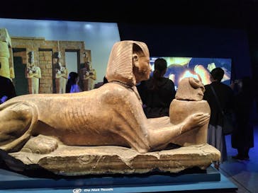 ACN ラムセス大王展 ファラオたちの黄金に投稿された画像（2025/4/28）