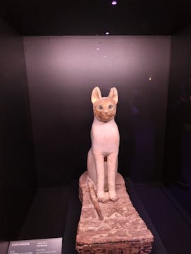 ACN ラムセス大王展 ファラオたちの黄金に投稿された画像（2025/4/28）