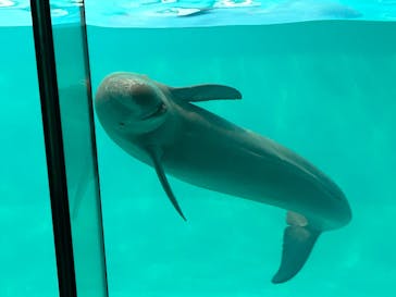 マリンワールド海の中道に投稿された画像（2025/4/28）