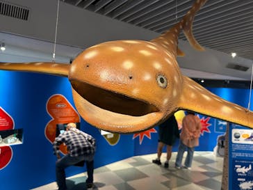 マリンワールド海の中道に投稿された画像（2025/4/28）