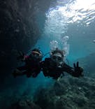 沖縄マリンサービス碧に投稿された画像（2025/4/28）