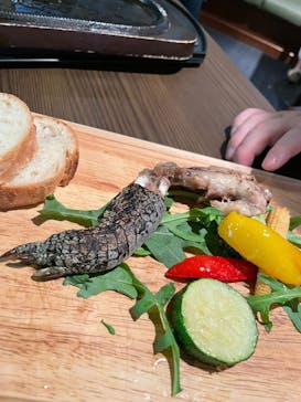 名古屋港水族館に投稿された画像（2025/4/28）