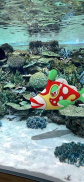 名古屋港水族館に投稿された画像（2025/4/28）