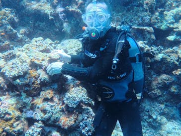 MARINE HOLICに投稿された画像（2025/4/28）