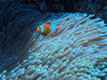 MARINE HOLICに投稿された画像（2025/4/28）