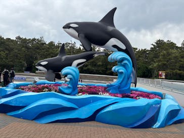 鴨川シーワールドに投稿された画像（2025/4/28）