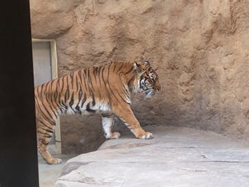 日立市かみね動物園に投稿された画像（2025/4/28）