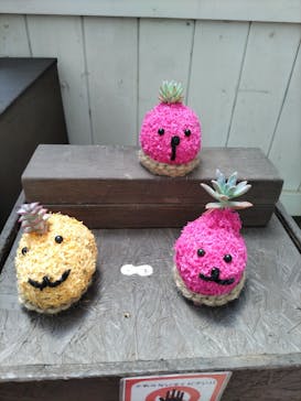 伊豆シャボテン動物公園に投稿された画像（2025/4/28）