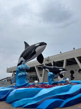 鴨川シーワールドに投稿された画像（2025/4/28）