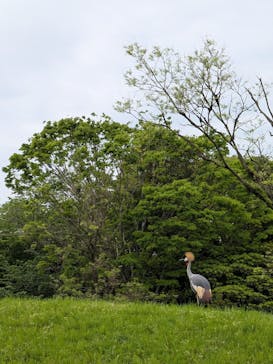 千葉市動物公園に投稿された画像（2025/4/28）