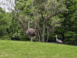 千葉市動物公園に投稿された画像（2025/4/28）