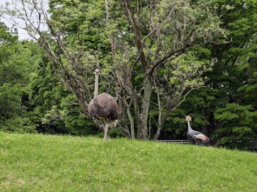 千葉市動物公園に投稿された画像（2025/4/28）