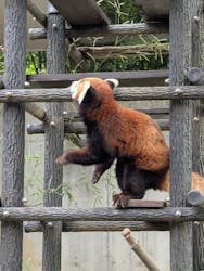 千葉市動物公園に投稿された画像（2025/4/28）