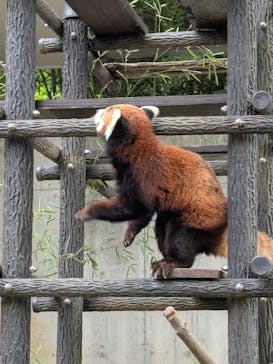 千葉市動物公園に投稿された画像（2025/4/28）