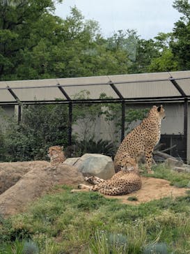 千葉市動物公園に投稿された画像（2025/4/28）