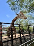 宇都宮動物園に投稿された画像（2025/4/28）