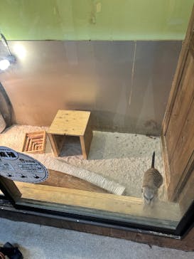 伊豆シャボテン動物公園に投稿された画像（2025/4/28）