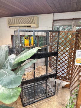 伊豆シャボテン動物公園に投稿された画像（2025/4/28）