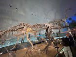 福井県立恐竜博物館に投稿された画像（2025/4/28）