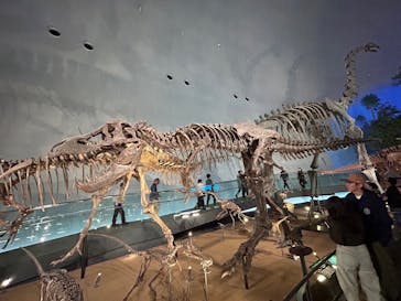 福井県立恐竜博物館に投稿された画像（2025/4/28）