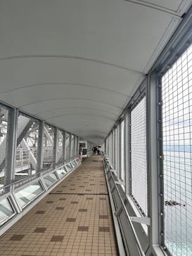 徳島県立 渦の道に投稿された画像（2025/4/28）