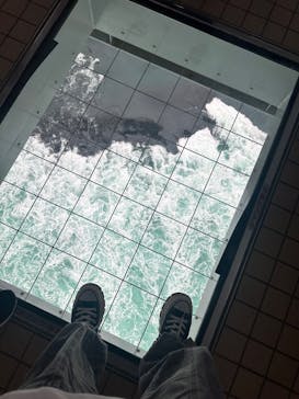 徳島県立 渦の道に投稿された画像（2025/4/28）