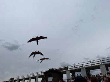 那須どうぶつ王国に投稿された画像（2025/4/28）