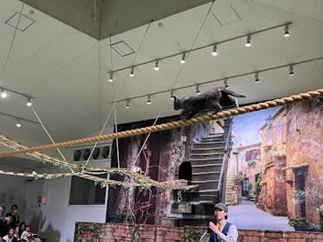 那須どうぶつ王国に投稿された画像（2025/4/28）