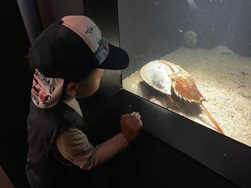 環境水族館アクアマリンふくしまに投稿された画像（2025/4/28）