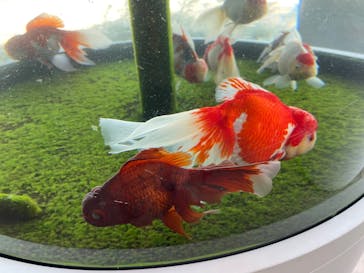 環境水族館アクアマリンふくしまに投稿された画像（2025/4/28）