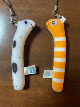 環境水族館アクアマリンふくしまに投稿された画像（2025/4/28）