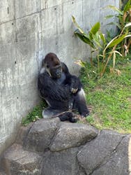 千葉市動物公園に投稿された画像（2025/4/28）
