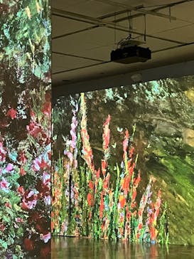 モネ　イマーシブ・ジャーニー　僕が見た光に投稿された画像（2025/4/28）