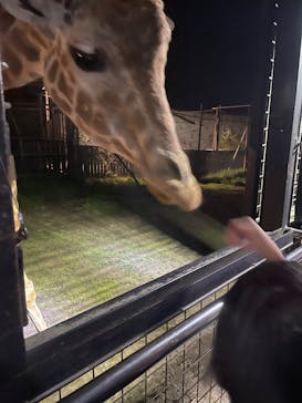 那須サファリパークに投稿された画像（2025/4/28）