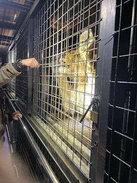 那須サファリパークに投稿された画像（2025/4/28）