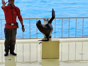 マリンワールド海の中道に投稿された画像（2025/4/28）