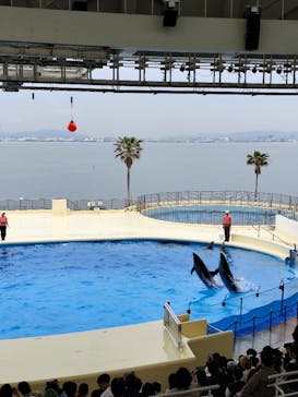 マリンワールド海の中道に投稿された画像（2025/4/28）