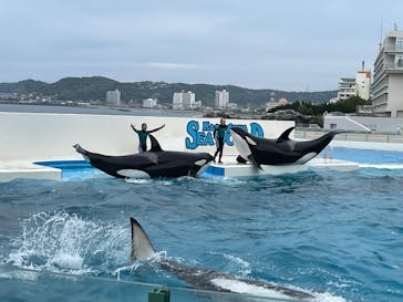 鴨川シーワールドに投稿された画像（2025/4/28）