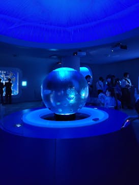 新江ノ島水族館に投稿された画像（2025/4/28）