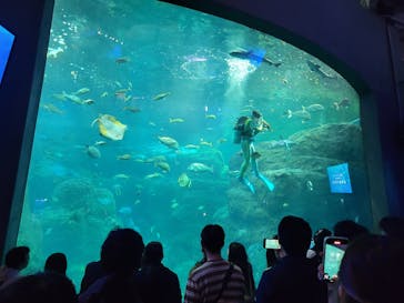新江ノ島水族館に投稿された画像（2025/4/28）