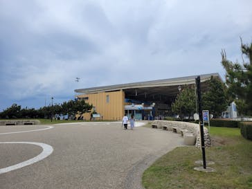 新江ノ島水族館に投稿された画像（2025/4/28）