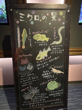 四国水族館に投稿された画像（2025/4/28）